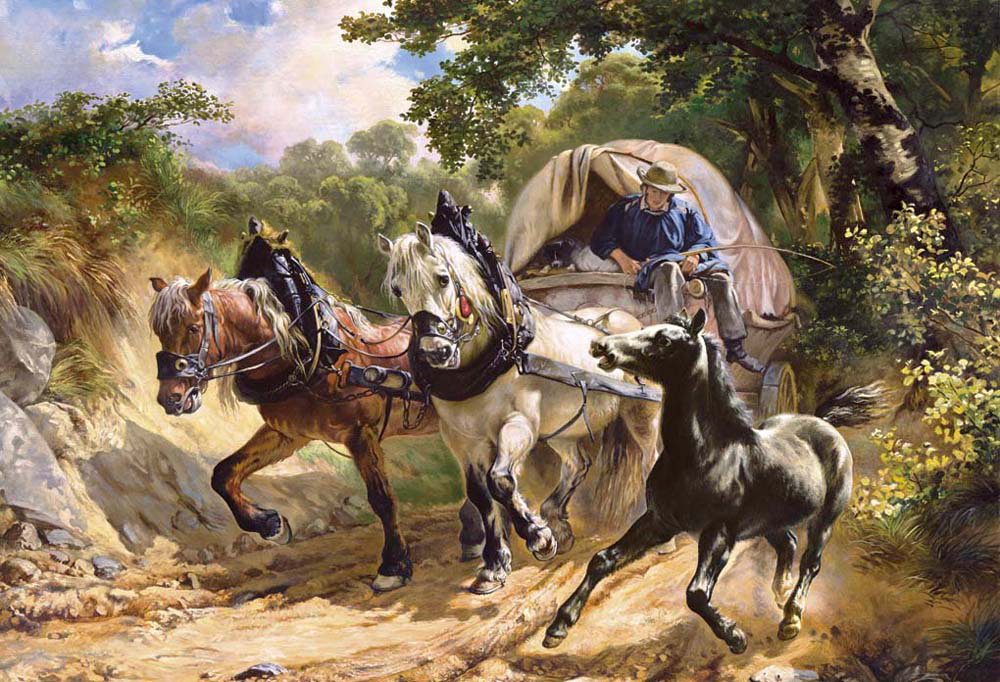 messenger car in the ravine
